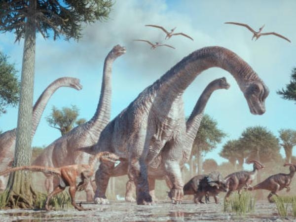 Um tumor ósseo encontrado em um dinossauro pode mudar tudo o que sabemos sobre o câncer.