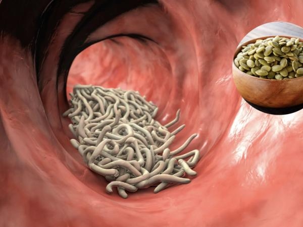 Verabschieden Sie sich von Darmparasiten: 6 hausgemachte Rezepte zur Reinigung Ihres Körpers