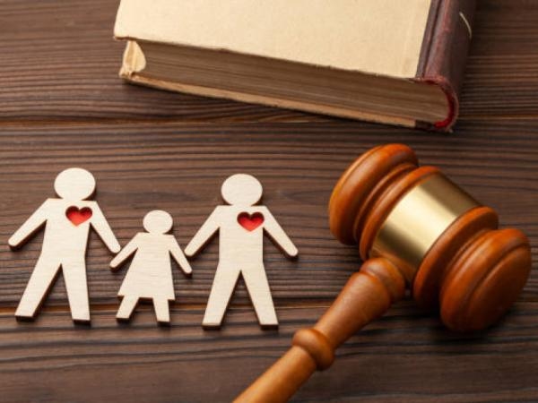 Family diversity: legal advances and pending tensions