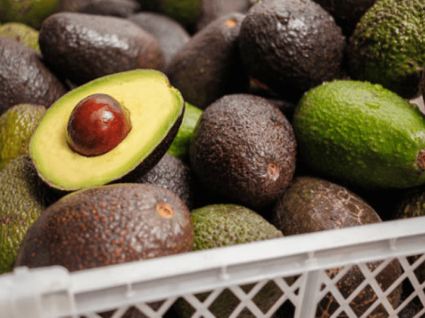 Cinco alimentos que protegem a saúde do coração, segundo evidências científicas