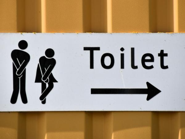 Perché le donne urinano più spesso degli uomini se la loro vescica non è più piccola?