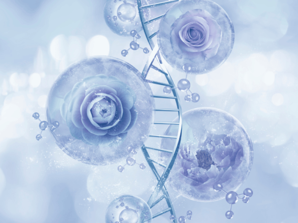 „Adieu Oxidation“: Die chemische Verbindung des Körpers ist der „König des Anti-Aging“