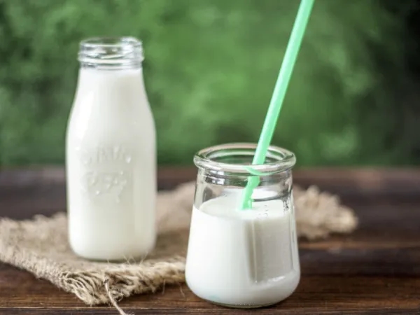 "Più calcio del latte": l'alimento definitivo, poco conosciuto, per ossa migliori