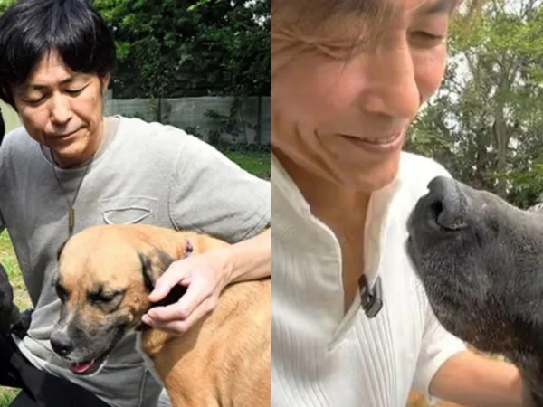 Commovente: il cane lo ha salvato dalla depressione, ha venduto la sua Ferrari e ha aperto un rifugio