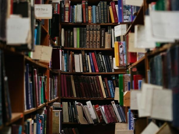 Recommended Portfolio: Conversational Economics