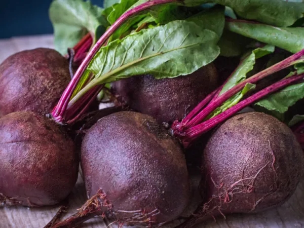 Non solo colore: 6 benefici per la salute delle barbabietole