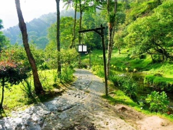 Aguas termales y café exquisito: el pueblito de Colombia que está lleno de placeres