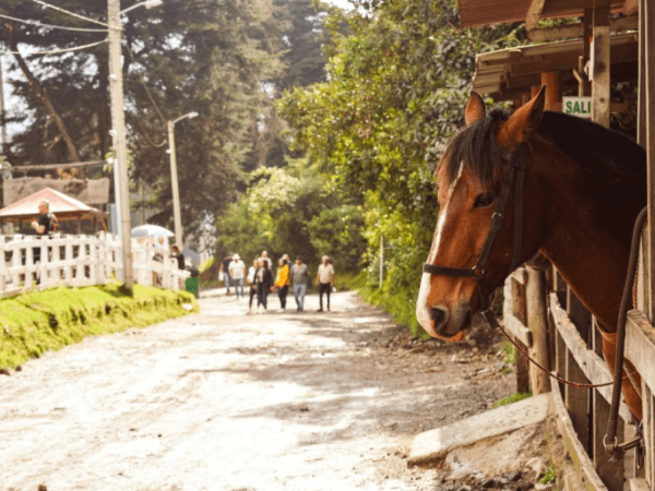 Il posto ideale in Colombia se vuoi trascorrere un weekend tranquillo, secondo AI