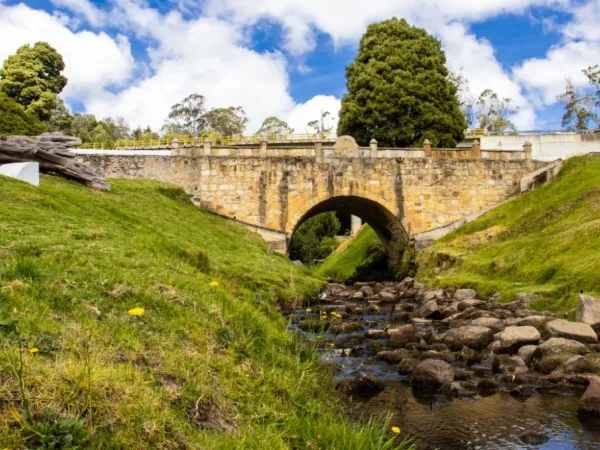 Bellísimo: el mágico lugar de Colombia donde puede caminar sobre un puente de agua