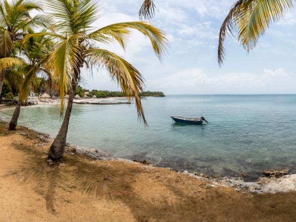 There's no competition: you'll taste the most exquisite 'bocachico' in this small town in Colombia.