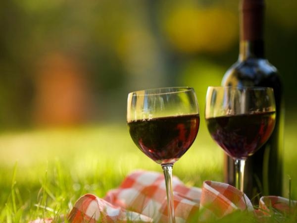 Qué le pasará a futuro si bebe 1 o 2 copas de vino diarias, según experto en longevidad