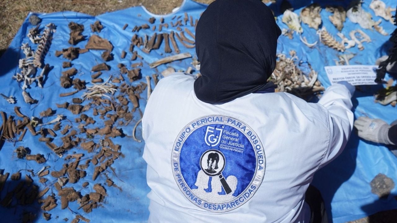 Forensic experts join the judicial strike; this is what they demand amid the crisis.