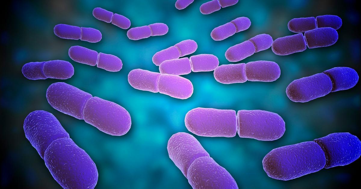 O Carrefour Itália recolhe três produtos devido ao risco microbiológico de listeria.
