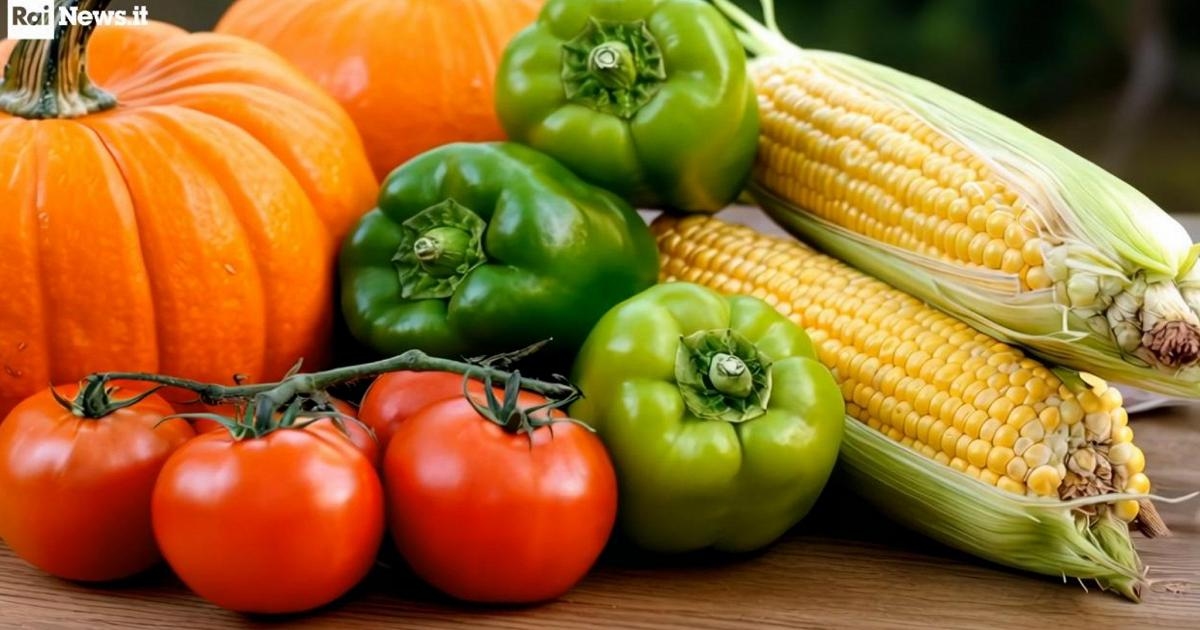 Longevidade: Aqui estão os alimentos de outono para um coração saudável.