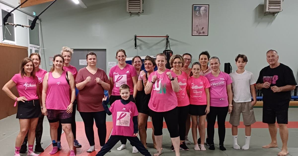 Delme. Una clase benéfica de kárate para apoyar la lucha contra el cáncer.