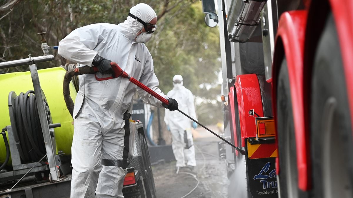 Un virus hautement contagieux connaît une résurgence aux États-Unis... présentant un risque pour la sécurité alimentaire