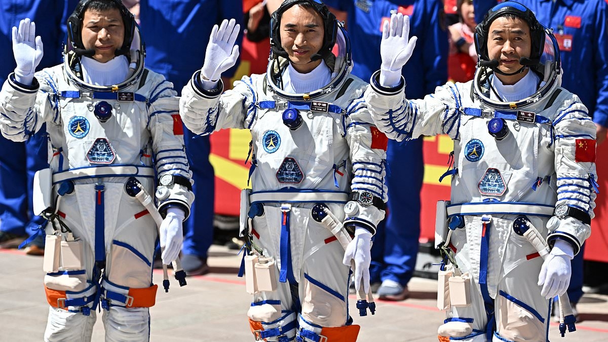 Apel do Elona Muska o uratowanie trzech astronautów uwięzionych w kosmosie po tym, jak „nieznany obiekt” uszkodził ich statek