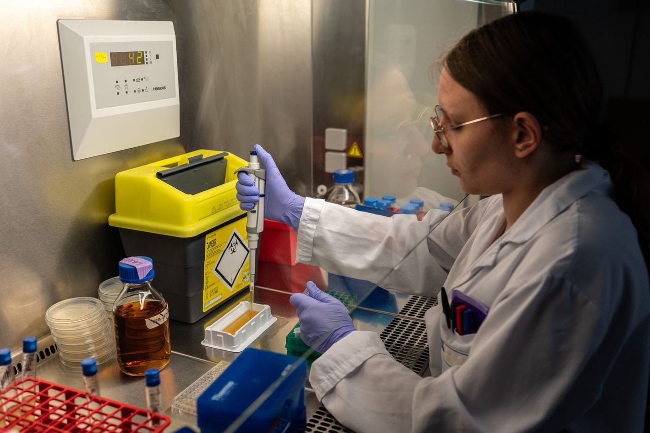 “Una scommessa folle!”: a Lione virus per combattere i batteri resistenti agli antibiotici