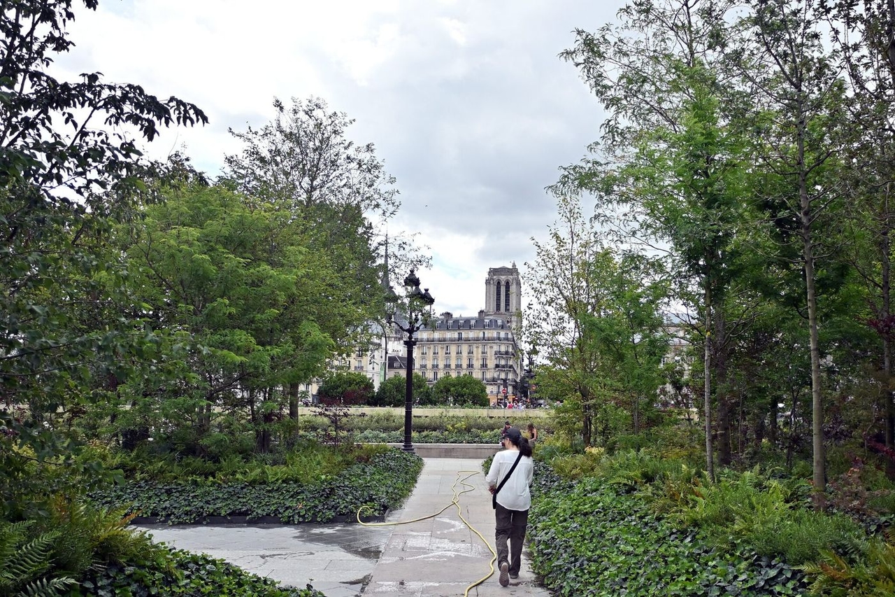 Klima: Paris hat seine Treibhausgasemissionen in zehn Jahren um ein Viertel reduziert.