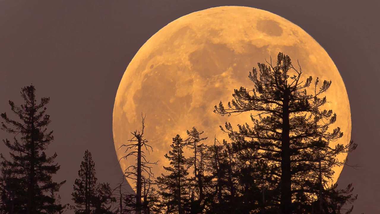 Superluna el 5 de noviembre: La luna llena más grande de 2025