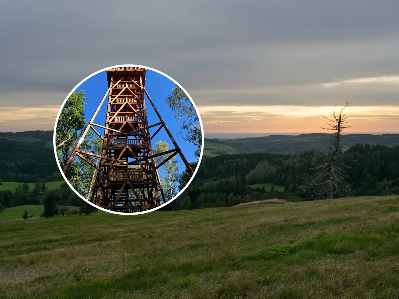 A new attraction in Poland will appeal to nature lovers. Opening November 4th