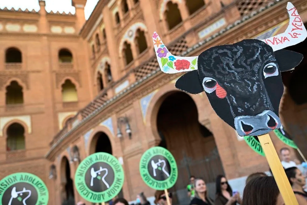 The Madrid Bullfighting Association has filed a complaint with the Government Delegation for authorizing an anti-bullfighting demonstration in Las Ventas on October 12: "It put the safety of fans at serious risk."