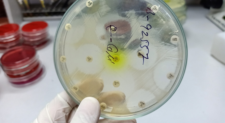 "Tıbbi gelişmelerin gerisinde kalıyor." Tehdit büyüyor ve yeni bir uyarı yayınlandı.