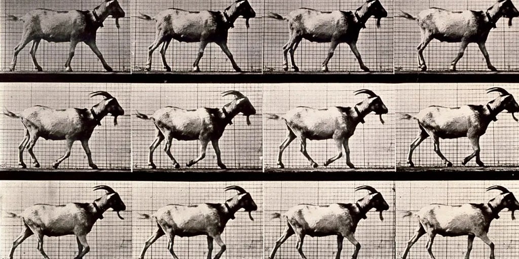 Eadweard Muybridge al Museo dell'Università di Navarra: la realtà mai notata