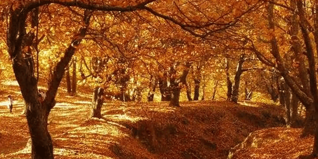 Le village de Malaga idéal pour l'automne : il possède une « jungle » d'orangers et ne compte que 300 habitants.