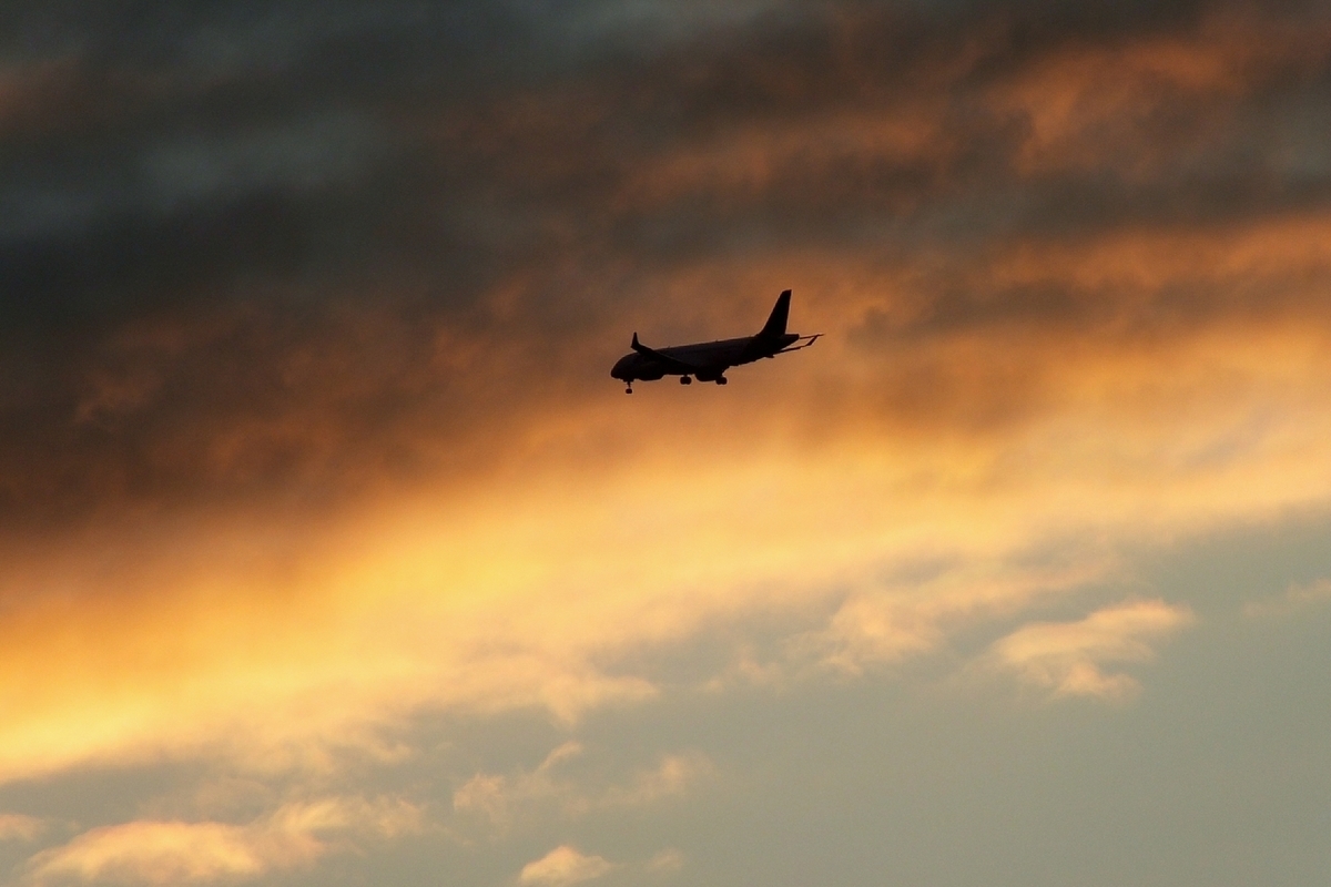 L'aéroport de Vnukovo et quatre autres aéroports russes ont suspendu leurs activités.