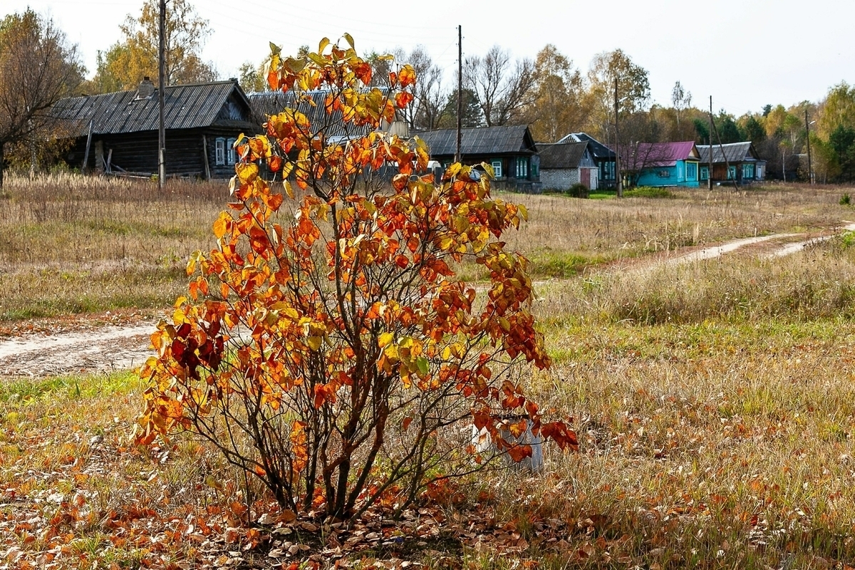 Büyükbabanın Ağıtları sırasında 7 Kasım'da neler yapılabilir ve yapılamaz?