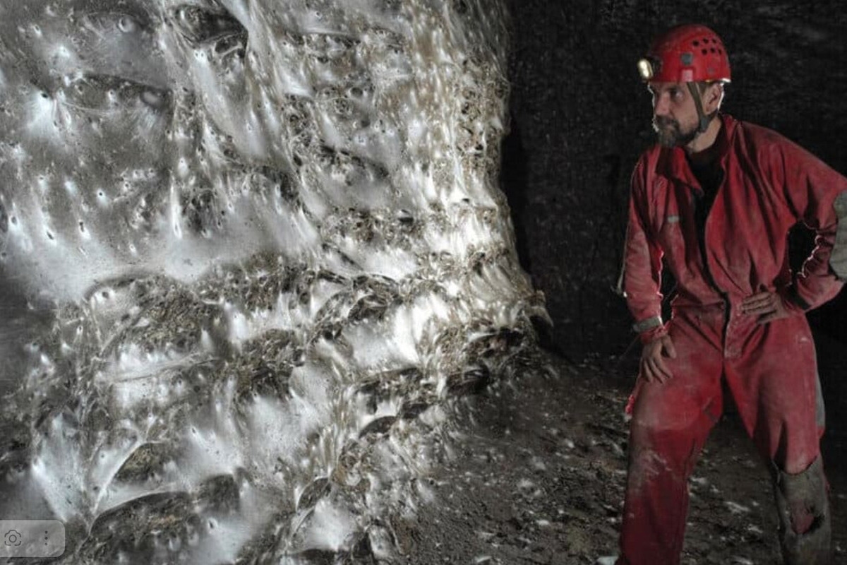 A unique find: a spider web covering 106 square meters.