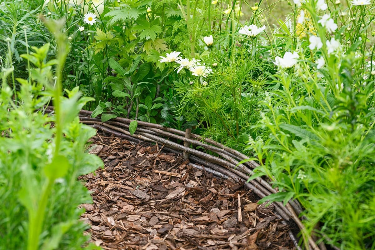 Budama atıklarınızla yapabileceğiniz 11 akıllıca şey