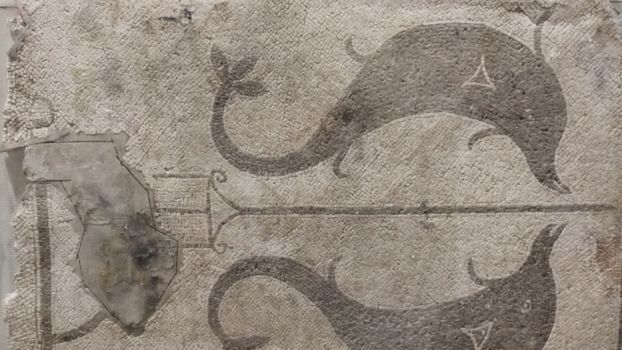 Аквилейская «Мозаика с дельфинами», отреставрированная для выставки «Реституции».