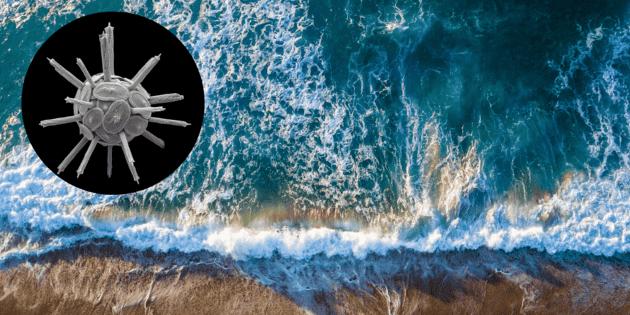 This is how calcifying plankton contributes to climate change.