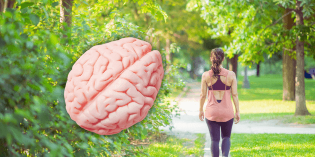 Quanto dovremmo camminare per mantenere il nostro cervello sano?